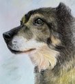 Color pencil
